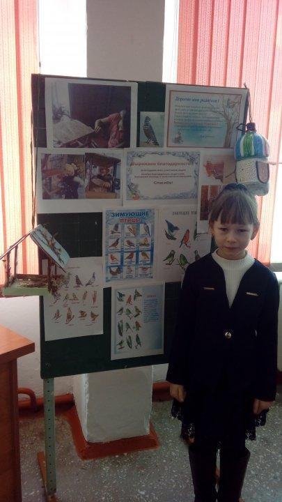 Акция «Покормите птиц зимой».