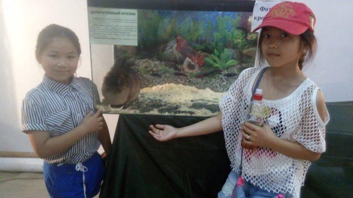 ЗООәлеміне саяхат