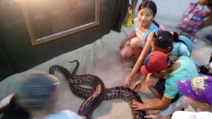 ЗООәлеміне саяхат