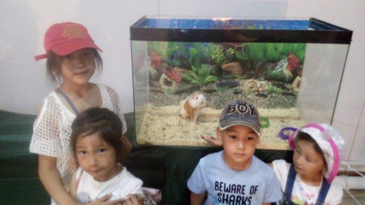 ЗООәлеміне саяхат