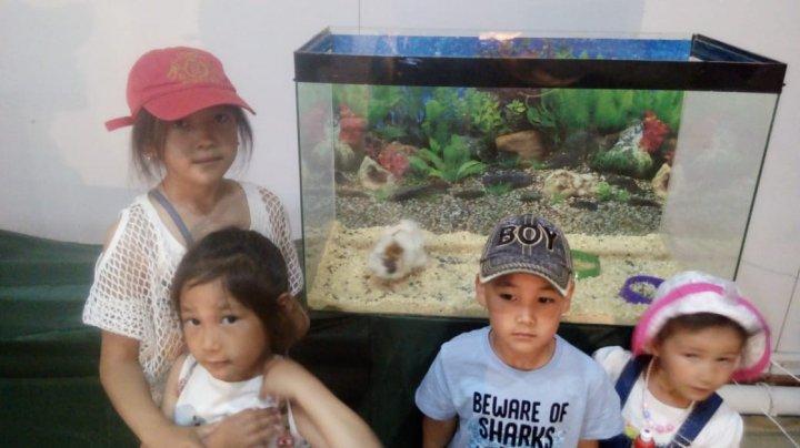 ЗООәлеміне саяхат