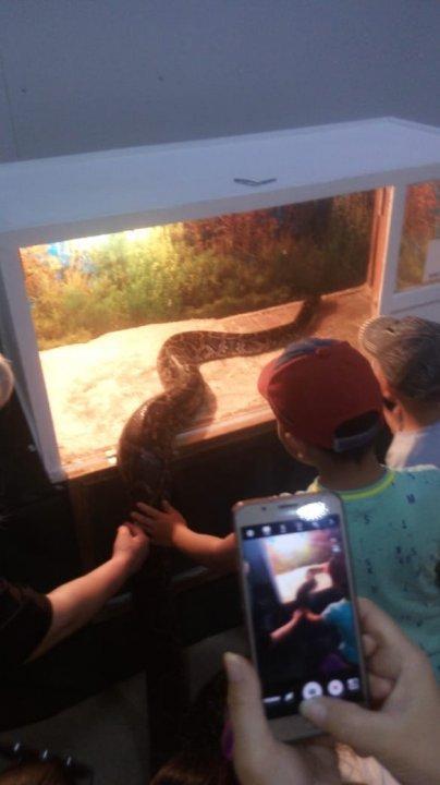 ЗООәлеміне саяхат