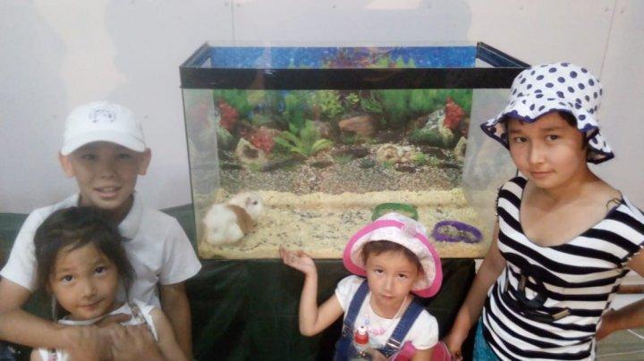 ЗООәлеміне саяхат