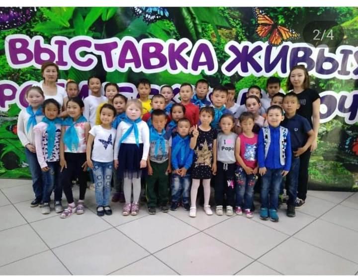 Тропикалық көбелектер