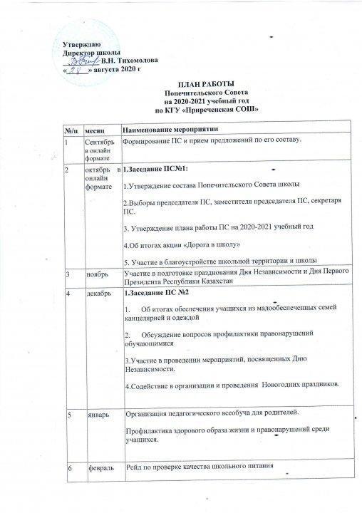 План работы Попечительского Совета