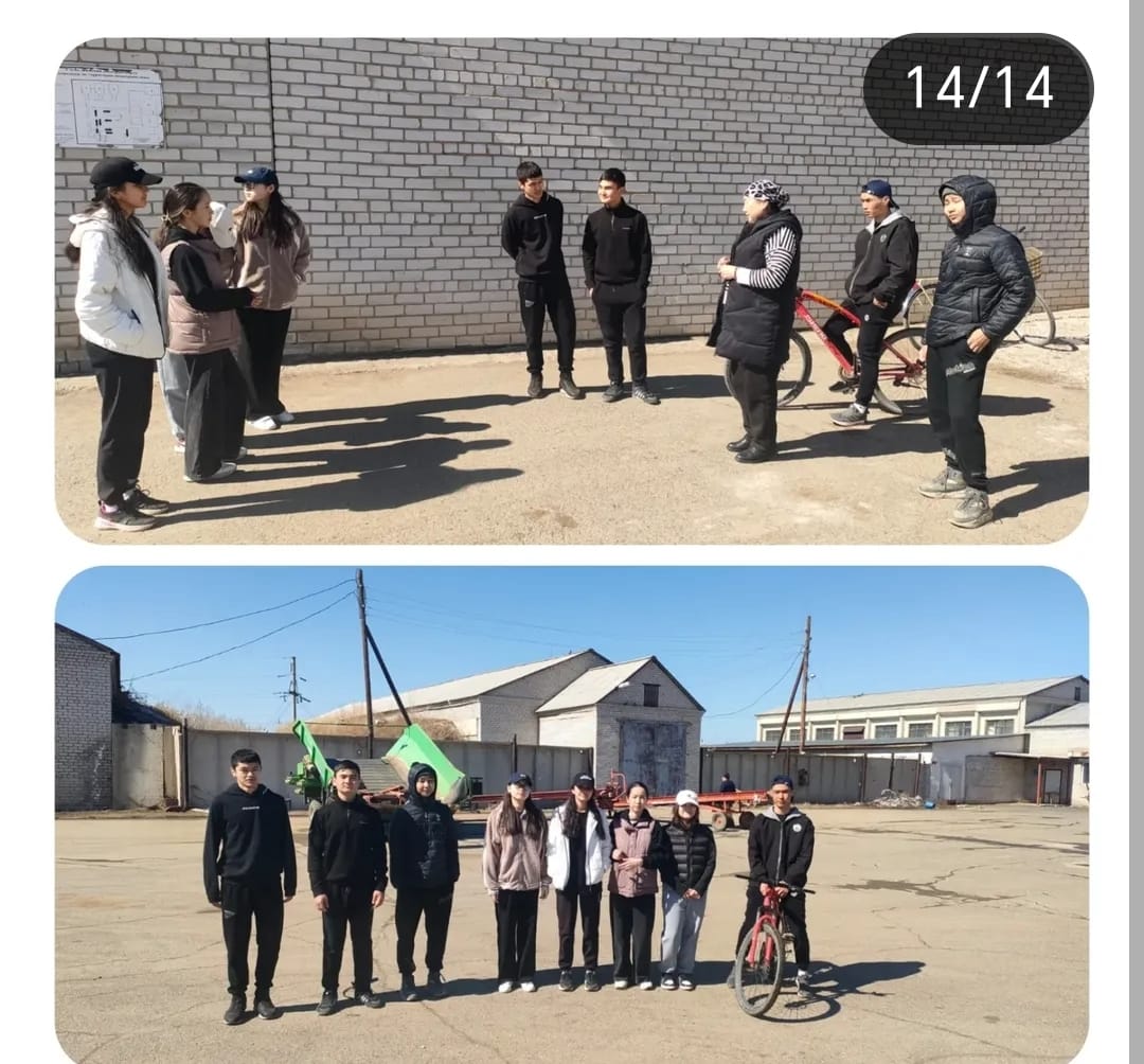 Мамандықты таңдау